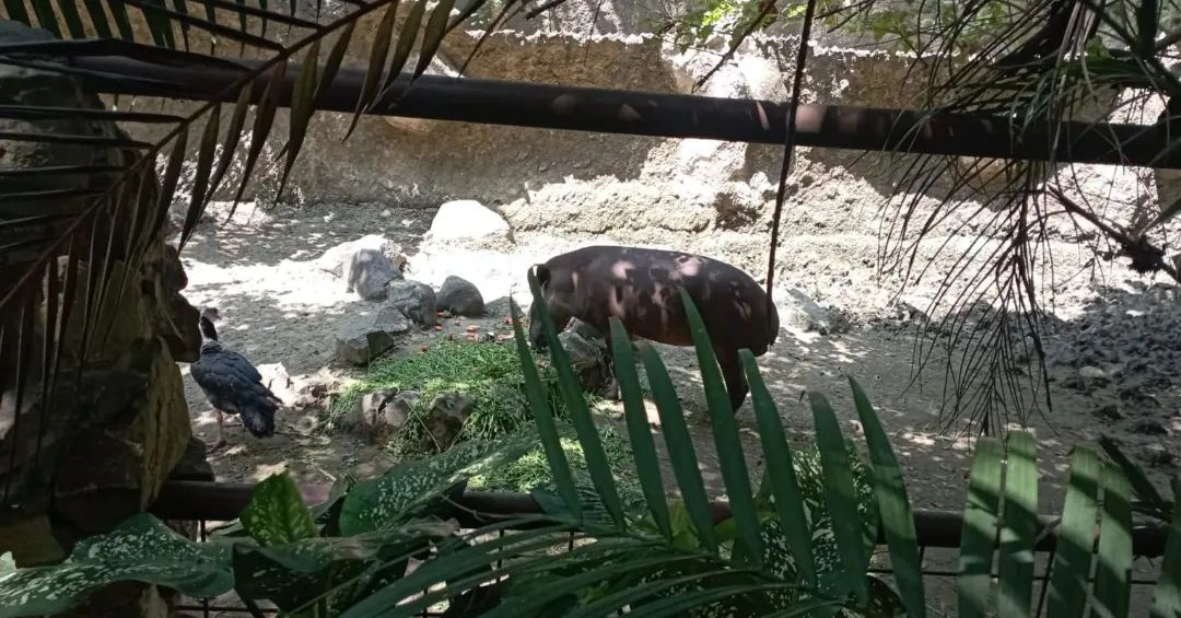Carrera Guía Nacional de Turismo