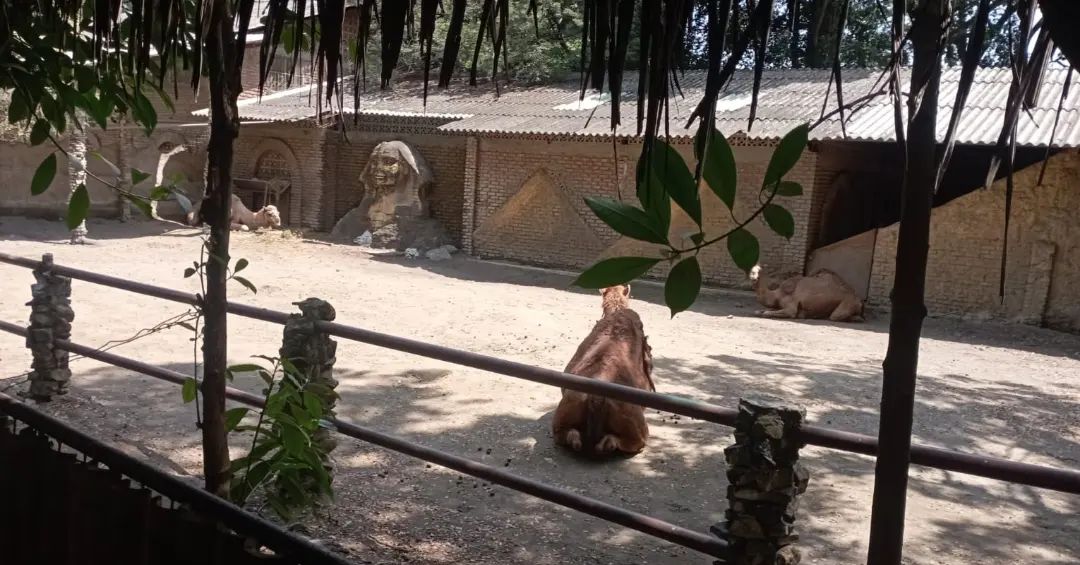 Carrera Guía Nacional de Turismo