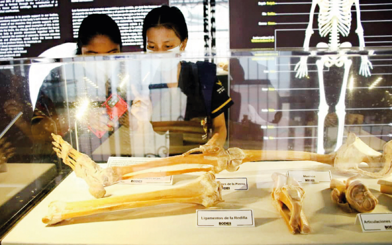 Grupo MEPD01 de la carrera de Técnico Superior