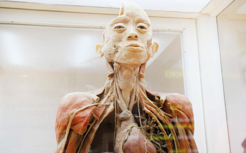 Grupo MEPD01 de la carrera de Técnico Superior