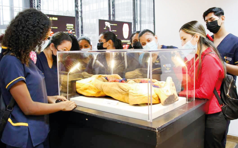 Grupo MEPD01 de la carrera de Técnico Superior