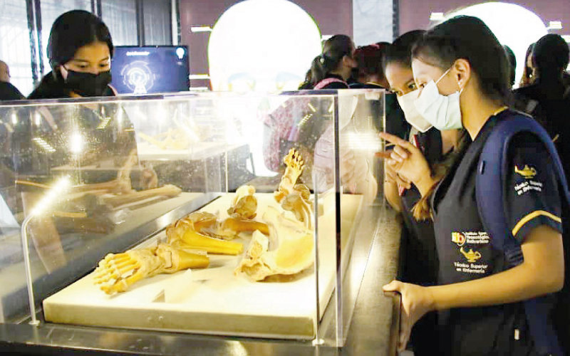 Grupo MEPD01 de la carrera de Técnico Superior