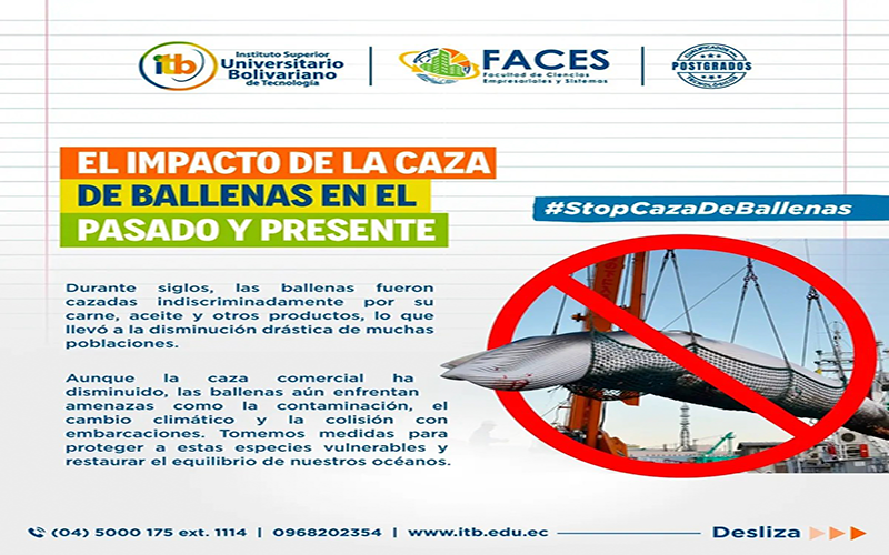 Día Mundial de las Ballenas