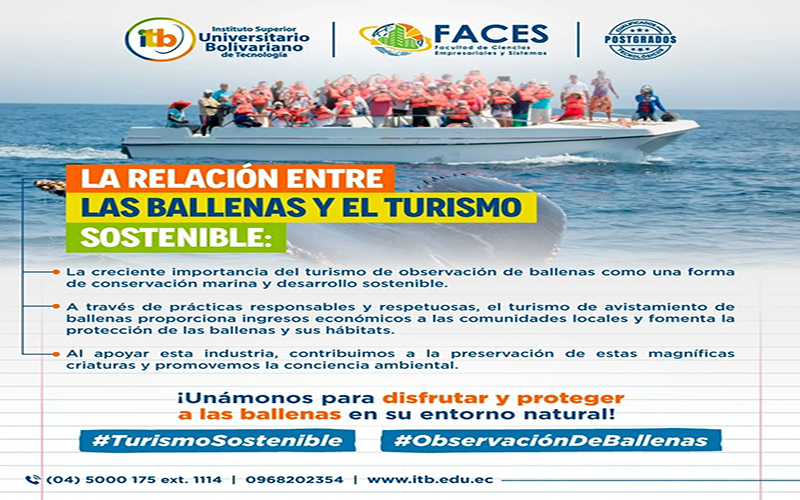 Día Mundial de las Ballenas