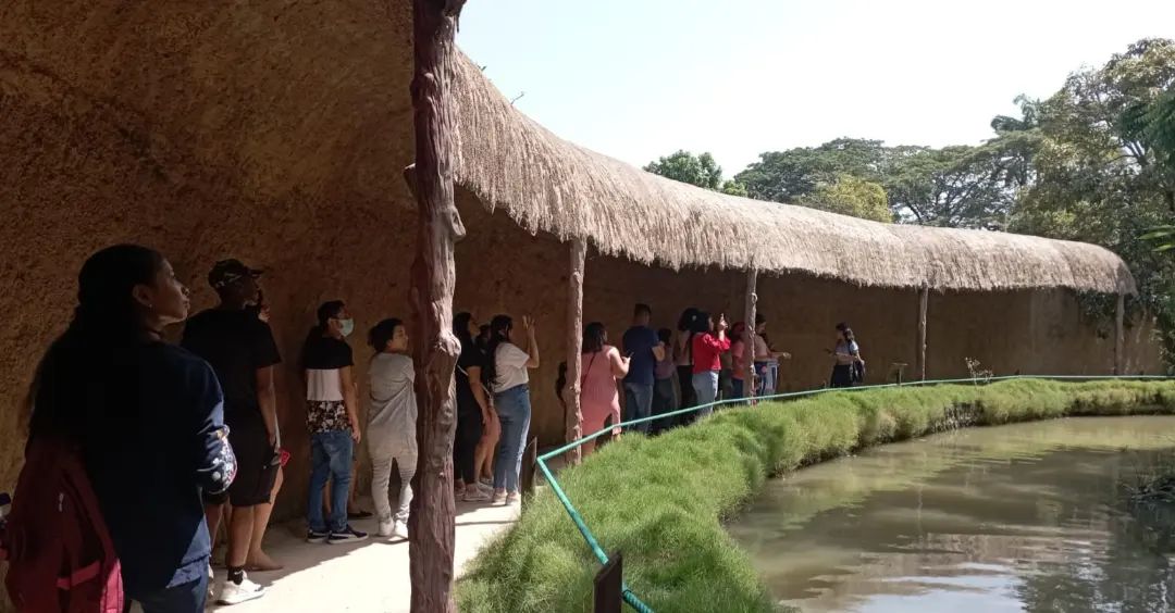 Carrera Guía Nacional de Turismo