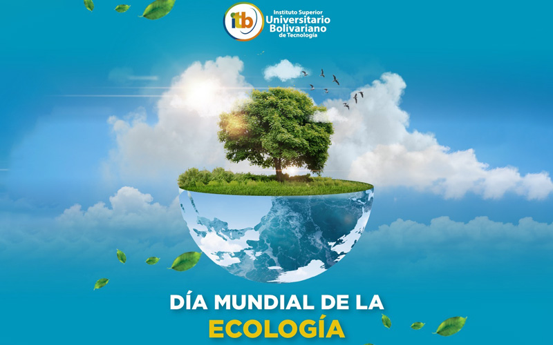 Hoy, 01 de noviembre, celebramos el Día Mundial de la Ecología