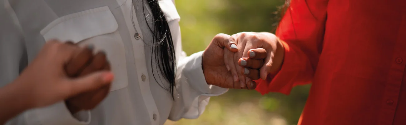 transferencia de conocimientos